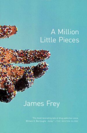 A Million Little Pieces - The Literary Alcove